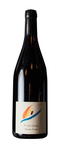 Photo of Andrea Calek - A toi nous (£23)